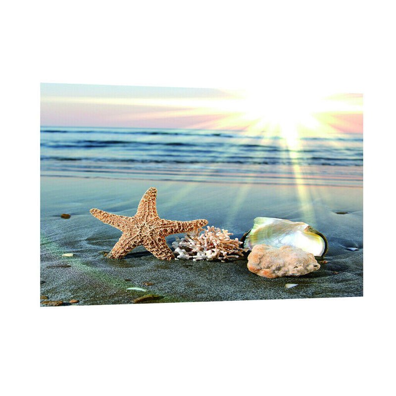 Under Sea Seabed World Backdrop Underwater Scene Colorful Aquarium Photography