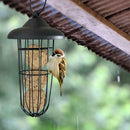 Hanging Feeding Automatic Tool Use Outdoor Bird Carrying Metal Feeder Cage Bird