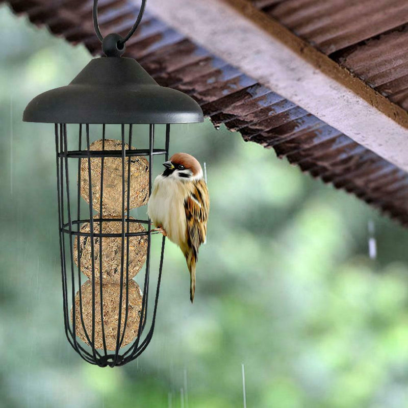 Hanging Feeding Automatic Tool Use Outdoor Bird Carrying Metal Feeder Cage Bird