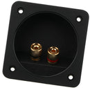 2-Way Speaker Box Terminal Binding Post Square Connector (80-500)