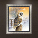 5D Diamond Nighthawk Painting DIY Embroidery Cross Stitch Kit Home Decor