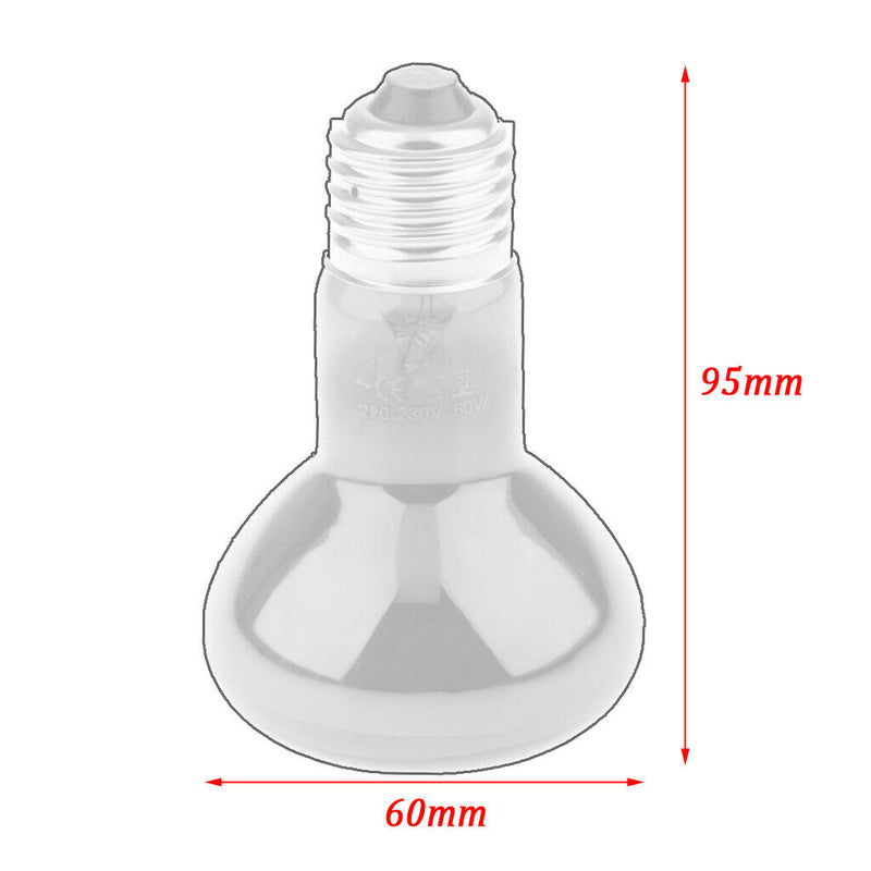 2Pcs B22 Reptile Heat Basking Lamp UVA Heater Glass Heat Emitter 220V 60W
