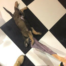 Puppy Dog Bite Rag with Handle Training Leather Tug for Young  Schutzhund