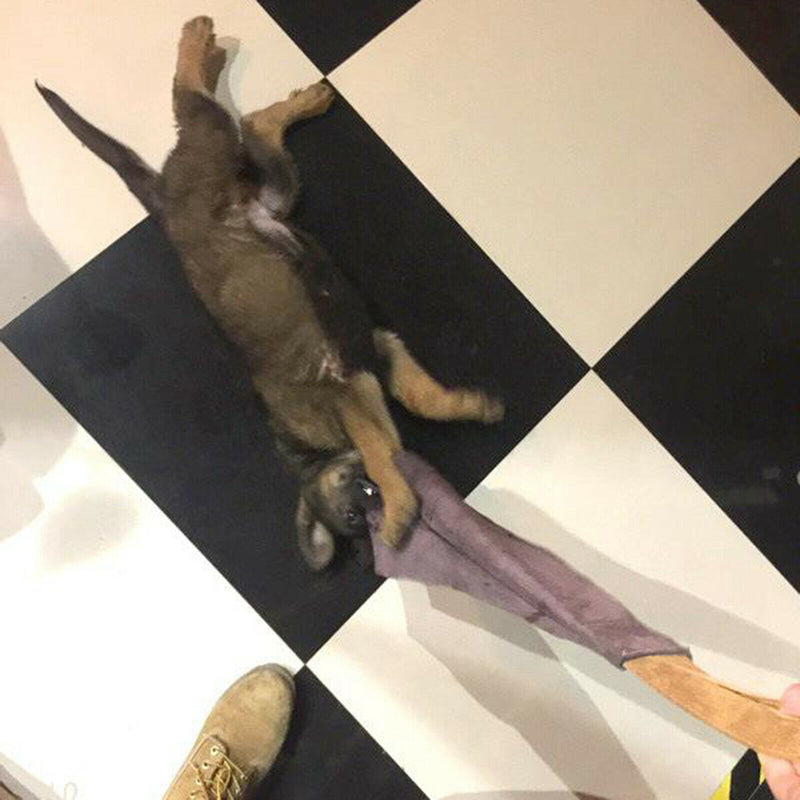 Puppy Dog Bite Rag with Handle Training Leather Tug for Young  Schutzhund