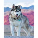 5D DIY Full Drill Diamond Painting Wolf Animal Cross Stitch Embroidery Kit