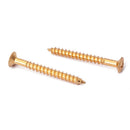 4Pcs Guiter Golden Neck Plate Screws Replacement Parts Golden For  ST