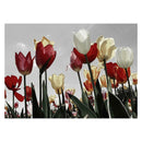 Colorful Roses 5D Round Diamond Painting Embroidery DIY Cross Stitch Kit