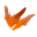 50 Beautiful cock feathers 12-18cm / 4-7inch orange N6L3