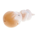 12 Pieces Cute Baby Foot Boys Girls Party Favor Christening Baby Shower Blue