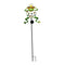 Solar Path Lights Outdoor Decorative Metal Frog Stake with 10 LEDs Globes for