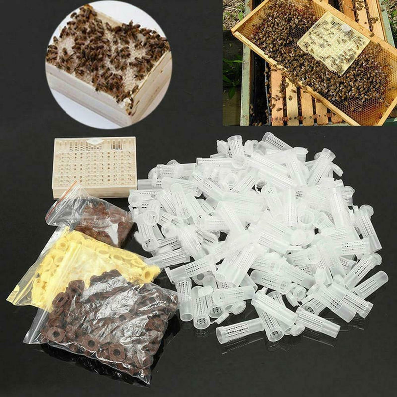 120pcs Bee Cell Cups Queen Rearing System Beekeeping Tool Cultivating Box A