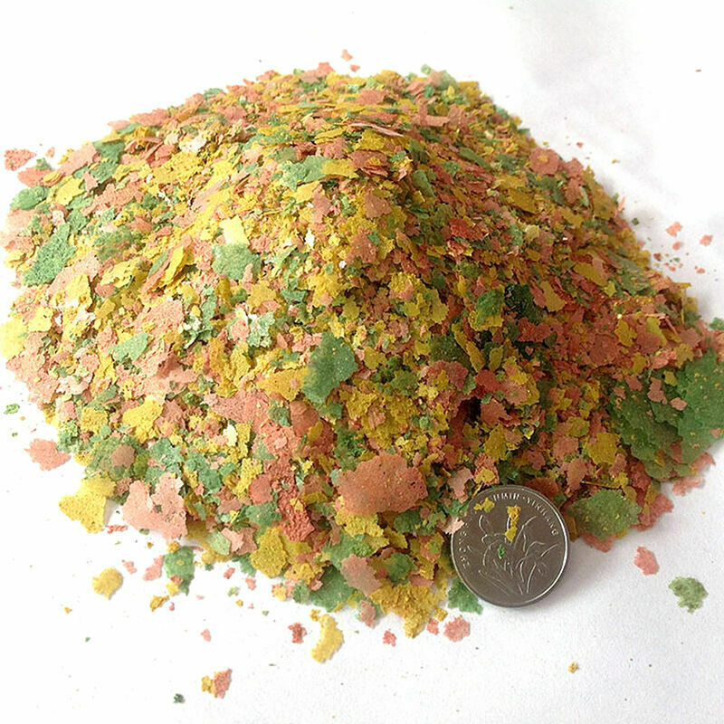 Tropical & Cichlid Fish Flakes Bulk Aquarium Pond Flake G01 O0W4 FRESH 100g R5E2