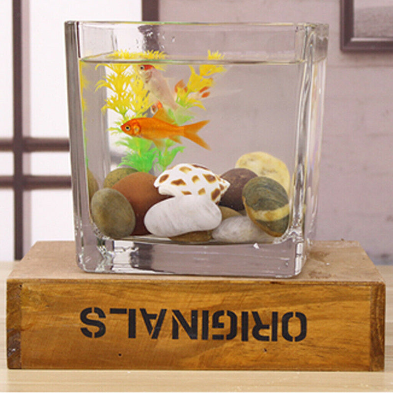 Tabletop Square Aquarium Fish Glass Vase Tank Plant Home Decoration 10x10x10cm
