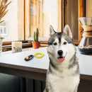 5X(Clicker for Training Dogs, Black T3Q6)