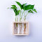 Wall Hanging Flower Vase Bottle in Wood Stand Terrarium Home Party Wedding Decor