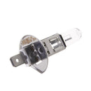 Universal H1 12V 55W Car Light Bulb Lamp Car Head Light Quartz Halogen Lamp