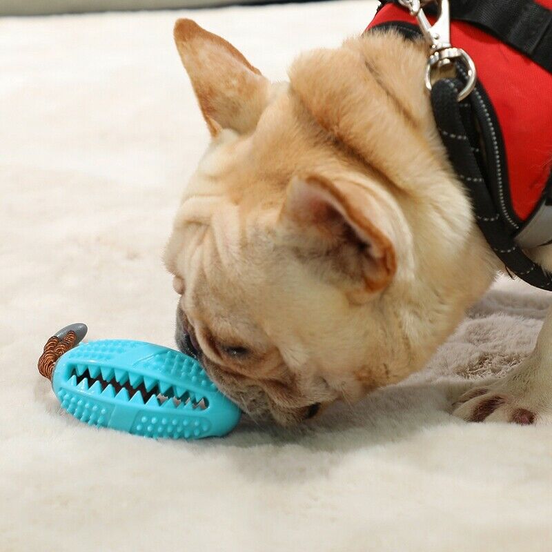 Interactive Dog Toys Toothbrush IQ Treat Dispensing Ball Rope Safe Teeth Cl