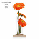 Flower Vase Glass Tubes Clear Glass Flower Pot With Wooden Stand For Hydrop