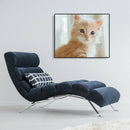 Painting By Numbers Kit DIY Silly Cat Hand Painted Canvas Oil Art Picture A