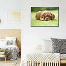 5D DIY Full Round Drill Diamond Painting Upset Dog Cross Stitch Embroidery