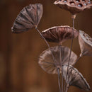 Lotus Natural Dried Flowers Bouquet Dried Plants Branch Fall Decorations Flor&+