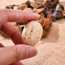 Natural Dried Flowers Pine Cone Acorn Artificial Flower Home Decoration