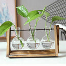 Plant Terrarium with Wooden Stand Glass Vase Holder for Home Decoration,Sci