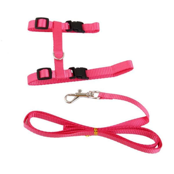 Adjustable Pet Cat Belt Nylon Leash Collar Harness Strap Rope with lead Pink