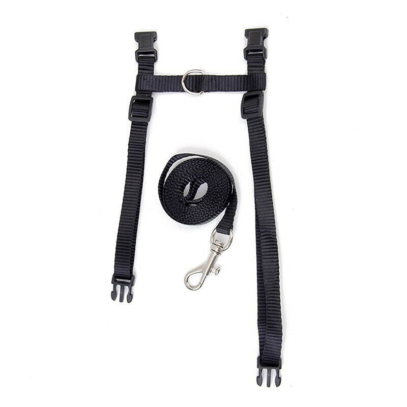 Nylon Adjustable Harness & Leash For Animals Black H1X3