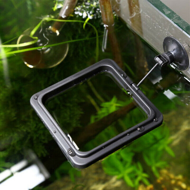 Feeding Ring Aquarium Fish Tank Station Floating Food Tary Feeder K3V7