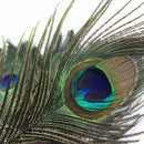 10x Natural Peacock Tail Eye Hair Feather Fly fishing Tying Flies Gift Stre H3G3