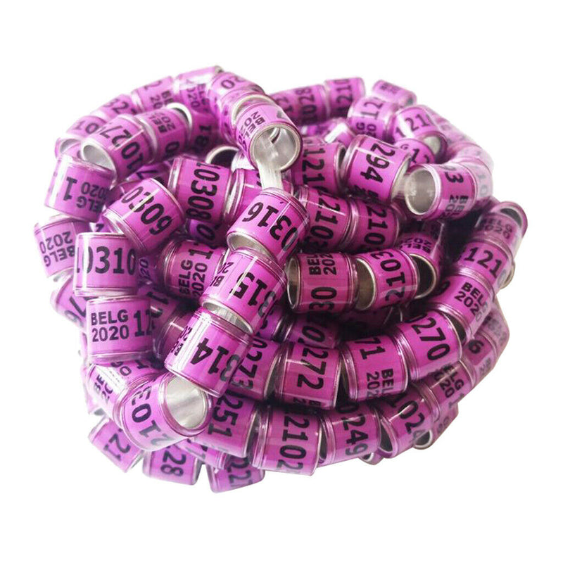 Set of 100 Racing Pigeon Leg Ring 8mm Leg Band Multi-color Purple Belgium