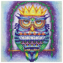 5D DIY Special Shaped Diamond Painting Owl Cross Stitch Mosaic Craft Kits