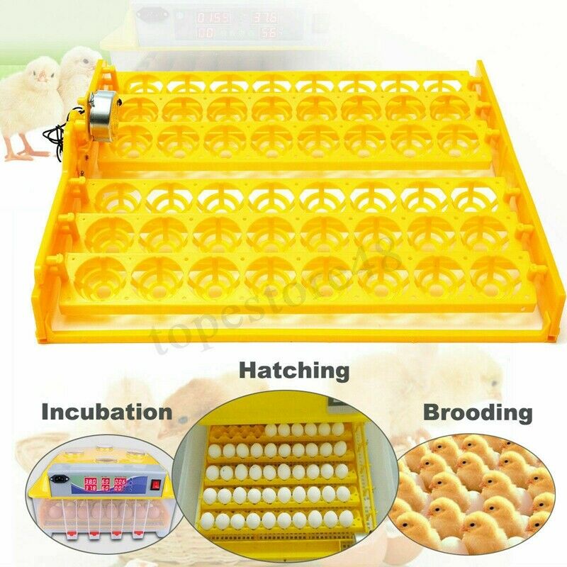 110V Automatic Egg Turner 56 Eggs Incubators Tray Quail Chicken Goose
