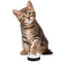 Pet Bell, 2 Pack Metal Bell Dog Training With Non Skid Rubber Bottoms Dog D V8L2