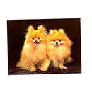 DIY 5D Diamond Painting Kit Dog Embroidery Cross Crafts Stitch Home Decor