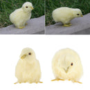 4 Pack Mini Cute Simulation Yellow Chicken Toys, Sound Plush Chicken Animal