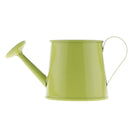 Pastoral Style Colorful Metal Tin Flower Pot Mini Bonsai Watering Can Green