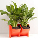 Set of 2 Stackable Wall Planter Self Watering Hanging Flower Plant Pots - White