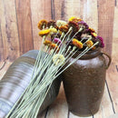 20Pcs Dried Flower Daisy Natural Artificial Flower Colorful Chrysanthemum O R6Z1