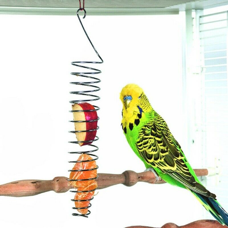 Spiral Birds Feeder, Millet Treat Fruit Holder for Parrot - Stainless Steel