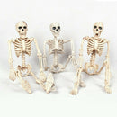 Human Jointed Skeleton Halloween Crazy Skeleton Skeleton Garden Decor Props