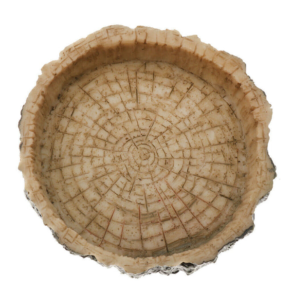 Multi-functional Food Bowl Reptiles Turtle Tortoise  Play Rest Type 2