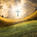DIY 5D Diamond Painting full drill wild holy cross Embroidered Cross Stitch!N