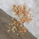 Mini Natural Starfish Shell Beach Sea Star Landscape Crafts Making Decor 50PCs