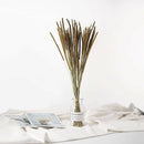 50pcs Natural Dried Thousand Grass Reed Flower Bunch Wedding Plant Decor _AU