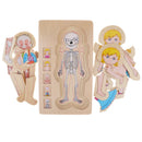 5-Layer Wooden Girl Body Puzzle, Help Your Girl Learn His Own Body Structure