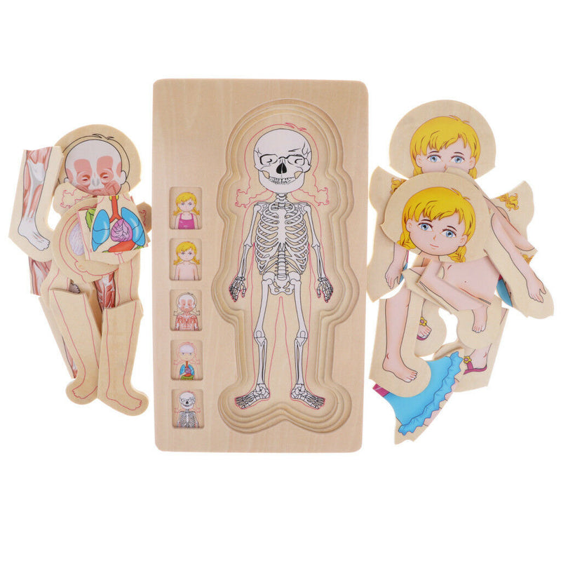 5-Layer Wooden Girl Body Puzzle, Help Your Girl Learn His Own Body Structure