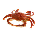 Artificial Lifelike , Decoration For Kitchen Fishing Accessories