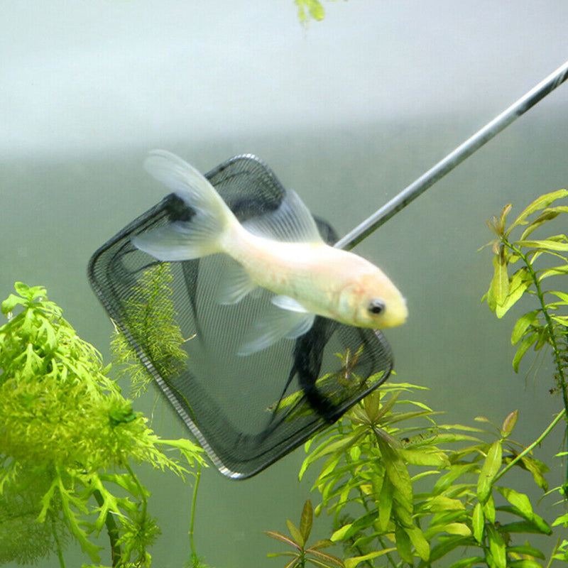 2 Section Telescopic Stainless Steel Folding Fish Landing Net Extending Pole